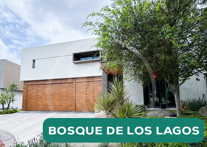 Destacada bosque de los lagos